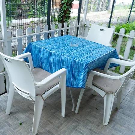 Virginia Шиофок